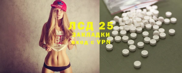 амф Вяземский