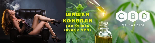 амф Вяземский