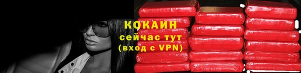 амф Вяземский