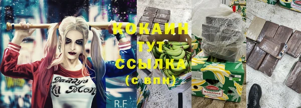 прущие грибы Вязники