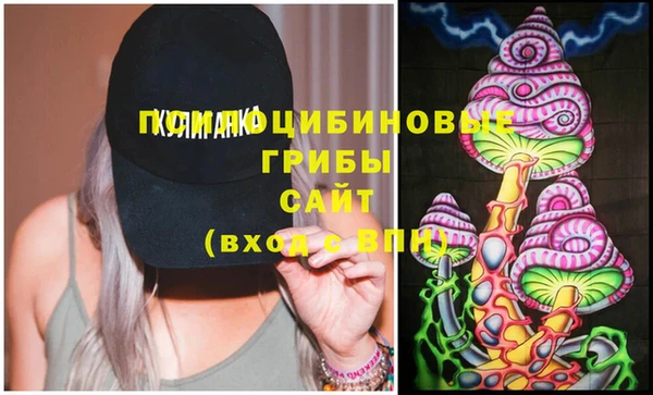 амф Вяземский