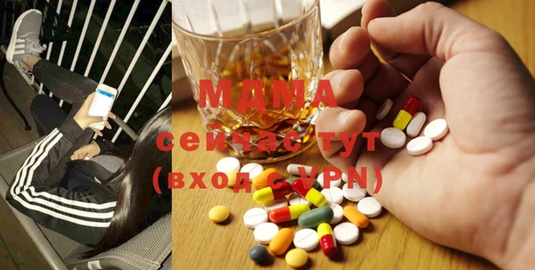 прущие грибы Вязники