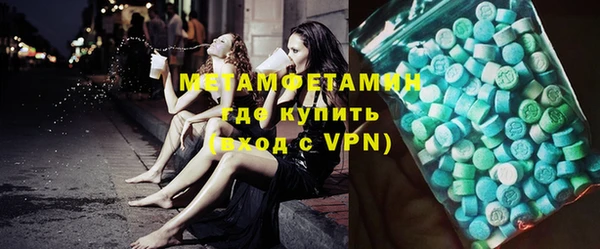 прущие грибы Вязники