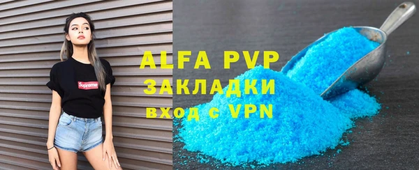 прущие грибы Вязники