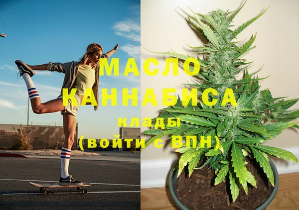 амф Вяземский
