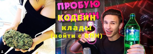 прущие грибы Вязники