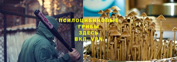 прущие грибы Вязники