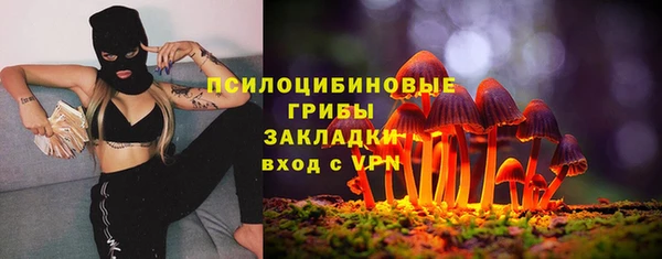 прущие грибы Вязники