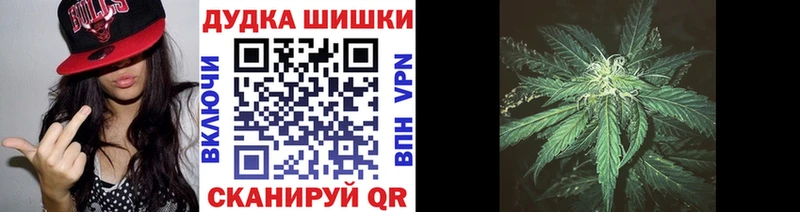 даркнет сайт  Невьянск  Каннабис сатива 